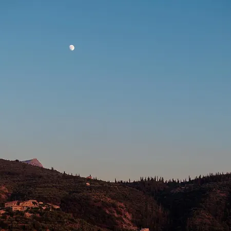 Castor & Pollux *