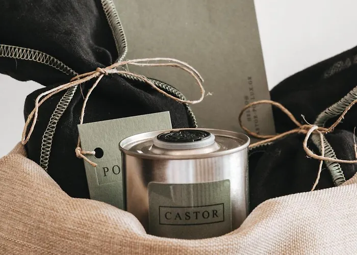 Castor&pollux Kotronion (West Mani)